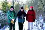 Pitch pines in snow