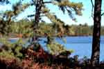 Atsion Lake 10/18/99