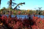 Atsion Lake 10/18/99