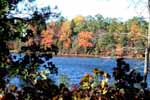 Atsion Lake 10/18/99