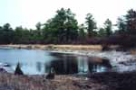 Headwaters of the Webbs Mill branch near Bullock - 01/04/00